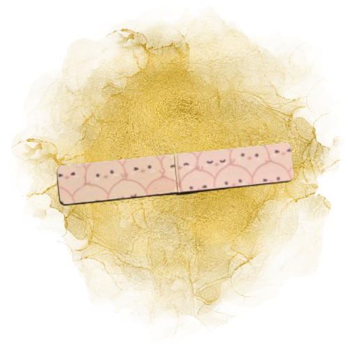 Magnetlesezeichen