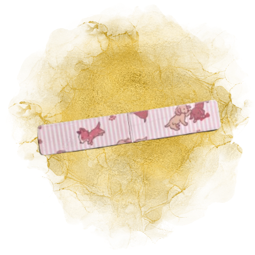 Magnetlesezeichen